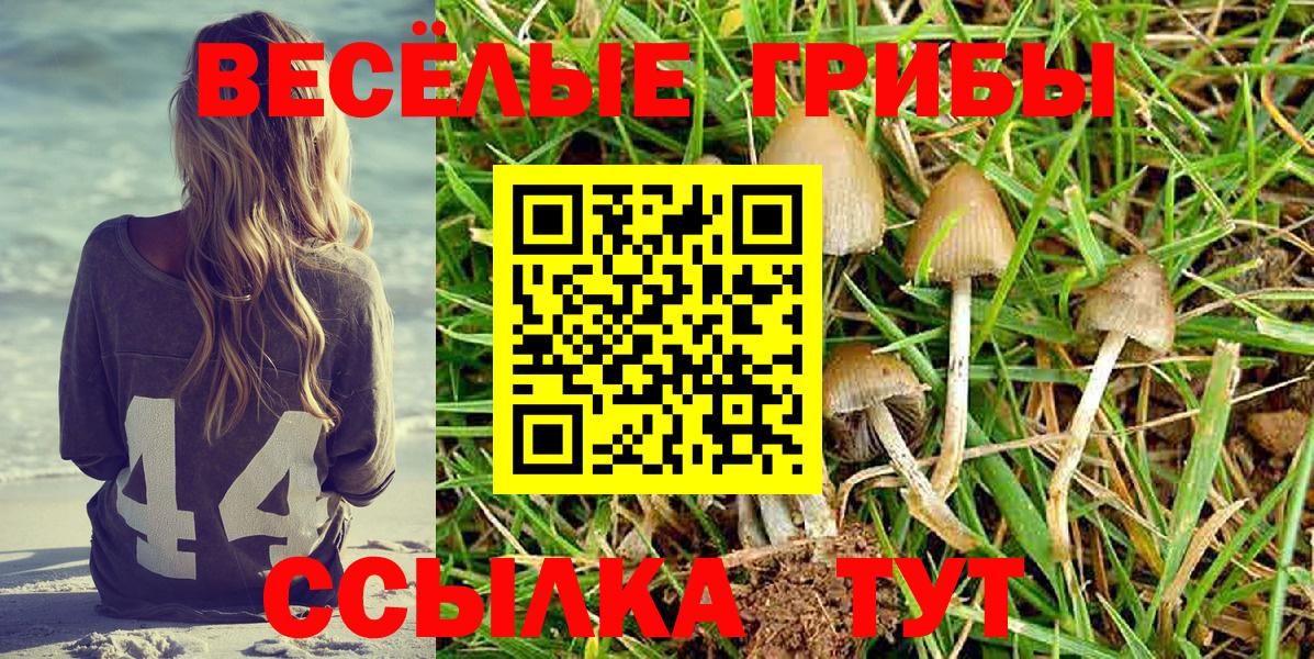 Псилоцибиновые грибы прущие грибы Южно-Сахалинск