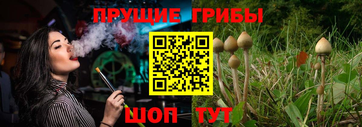 Псилоцибиновые грибы прущие грибы  купить наркотик  Южно-Сахалинск  Вход с VPN 